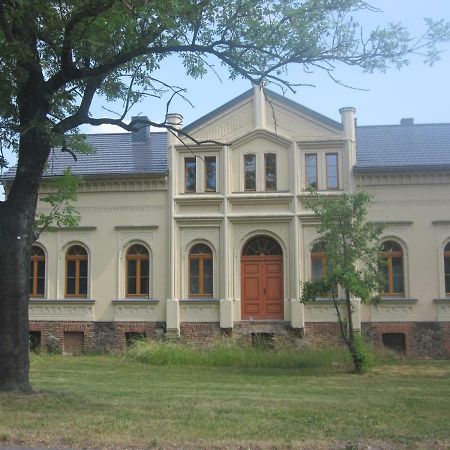Ferienwohnung Gaensebluemchen In Buchholz Steinhofel ภายนอก รูปภาพ